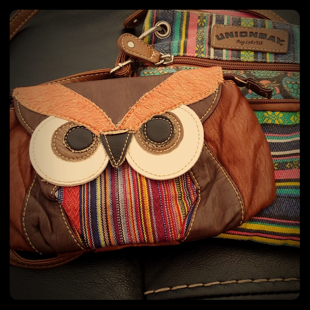 Cool owl purse set